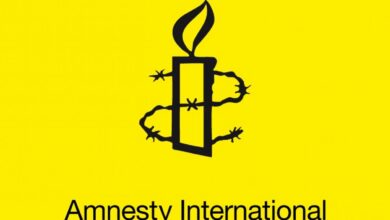 Join Amnesty International as an International Board Coordinator