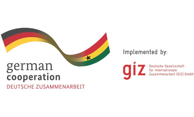GIZ is currently recruiting Development workers (m/f/d) as Digital Ambassadors: Apply!