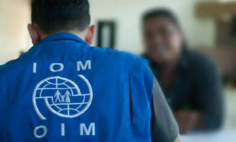 Apply for the IOM Internship WASH Support - (Partnerships and Capacity Building) based in Geneva