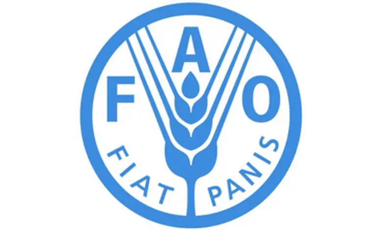 Call for Applications: 2024 Regular Volunteers Programme for FAO headquarters (HQ)