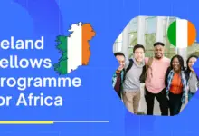 Fully Funded: Ireland Fellows Programme Africa 2025/2026 (Fees ,Accomodation, Flights & Living Cost)