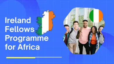 Fully Funded: Ireland Fellows Programme Africa 2025/2026 (Fees ,Accomodation, Flights & Living Cost)