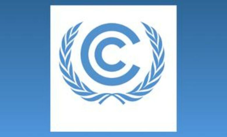 Deepen your Understanding of Climate Change by Applying for the UNFCCC Internship Opportunity