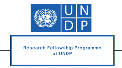 Apply for the UNDP Crisis Response and Resilience Research Fellowship