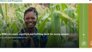 Call for Applications: The Mastercard Foundation Fund for Resilience and Prosperity for Small and Medium-sized Enterprises