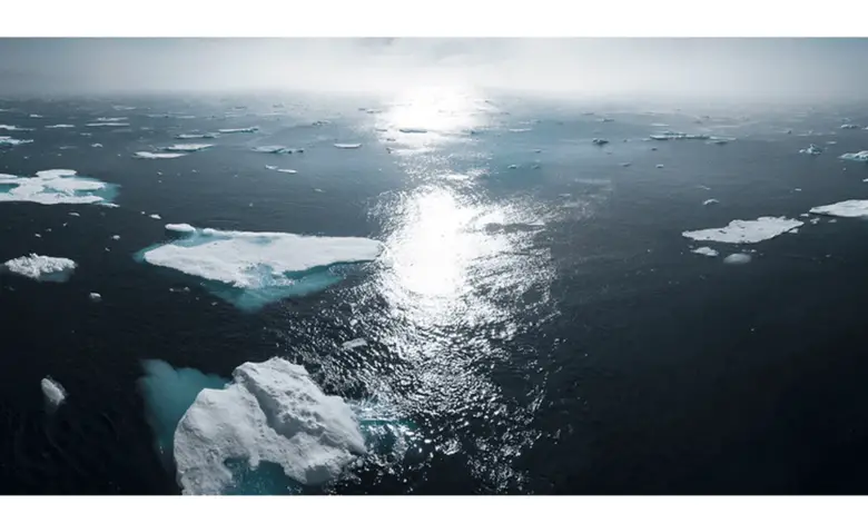 Center for Strategic Litigation is Looking for a Climate Fellow as part of the African Climate Legal Fellowship Programme