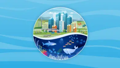 UNEP is Recruiting for a Home-based Statistics Consultant