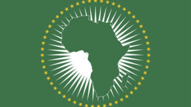 Grow your Career with the African Union Internship Program: Protocol Services & International relations at AfCFTA