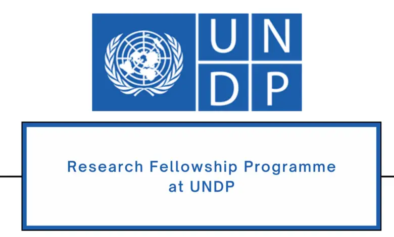 Apply for the Home-based UNDP Research Fellowship