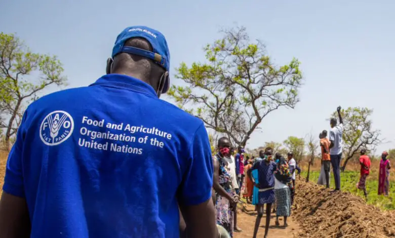 Call for Applications: 2025 FAO Regular Volunteer Programme for Africa (RAF)