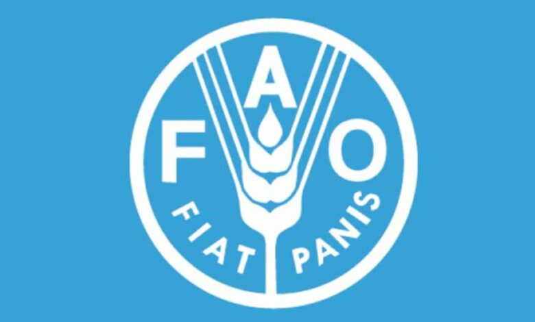 Call for Applications: 2025 FAO Internship Programme for Europe and Central Asia (REU)