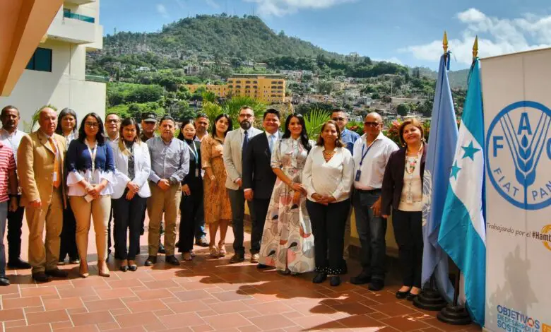 Apply for the 2025 FAO Internship Programme for Latin America and the Caribbean (RLC)