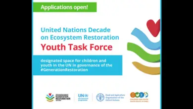 Call for Applications for Youth Globally to be part of the UN Decade Youth Task force on Ecosystem Restoration!