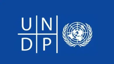 Apply for the Home-based GIS Fellowship at UNDP