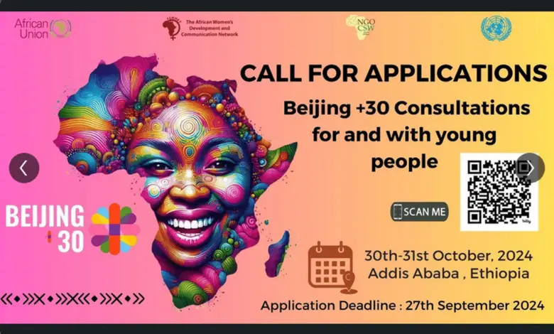 African Union Youth Division Call for Applications for youth to participate in the Beijing +30 Youth Consultations