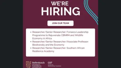 Centre for Sustainability Transitions is recruiting for three (3) Researcher positions