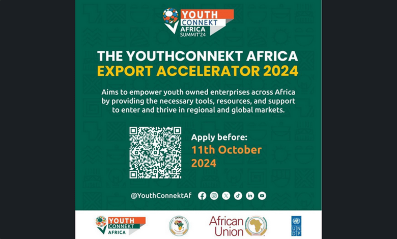 Call for Applications: UNDP YouthConnekt Africa Export Accelerator 2024 for Entrepreneurs