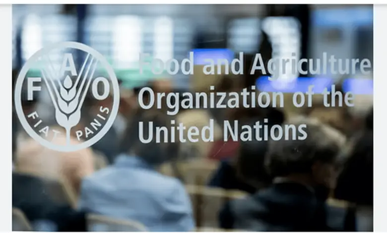 Call for Applications: 2025 FAO Regular Volunteer Programme for Europe and Central Asia (REU)