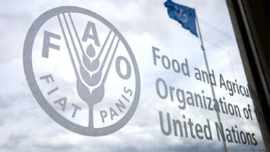 Call for Applications: 2025 FAO Regular Volunteer Programme for Latin America and the Caribbean (RLC)