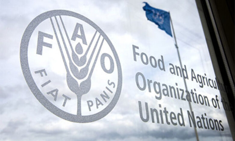 Apply for the 2025 Paid Internship Programme for FAO headquarters (HQ)