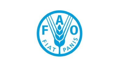 Apply for the 2025 FAO Regular Volunteer Programme for Asia and the Pacific (RAP)