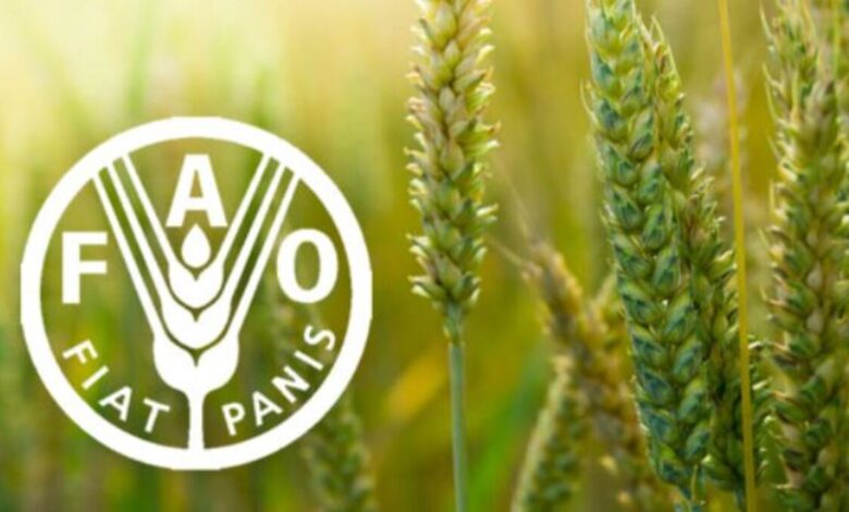 Call for Applications: 2025 FAO Internship Programme for Near East and North Africa (RNE)