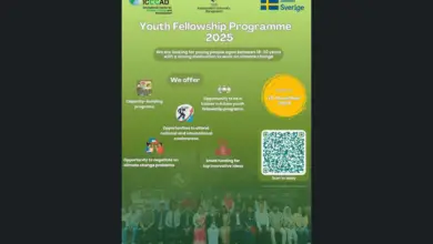 Call for Applications: 2025 ICCCAD Youth Fellowship Programme