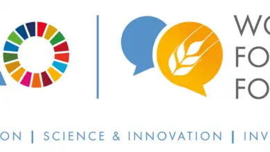 Call for Expression of Interest – FAO Internship Programme for the World Food Forum (WFF)