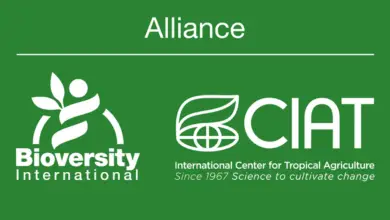 The Alliance of Bioversity International and CIAT is recruiting for Climate Investment Consultant