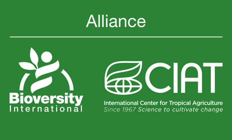 The Alliance of Bioversity International and CIAT is recruiting for Climate Investment Consultant