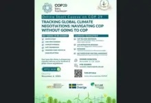 Apply for the Online Short Course on COP 29: Tracking Global Climate Change Negotiations: Navigating COP without going to COP