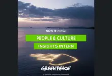 Paid Internship Opportunity: Join Greenpeace International as a People & Culture Insights Intern