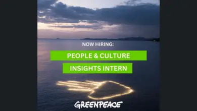 Paid Internship Opportunity: Join Greenpeace International as a People & Culture Insights Intern