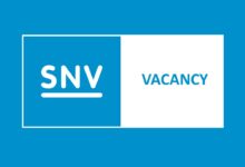 SNV is recruiting for a Director of Country Programmes based in the Netherlands or any country where SNV has an existing presence