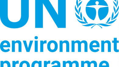 Join the United Nations Environment Programme as a Finance Intern