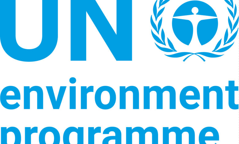 Join the United Nations Environment Programme as a Finance Intern