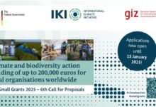 Call for Proposals: International Climate Initiative (IKI) Small Grants for climate and biodiversity action by local organisations worldwide