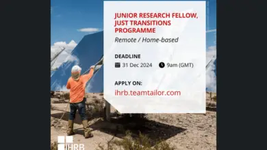 The Institute for Human Rights and Business is looking for a fully remote Junior Research Fellow to join their team (£1,725 per month)