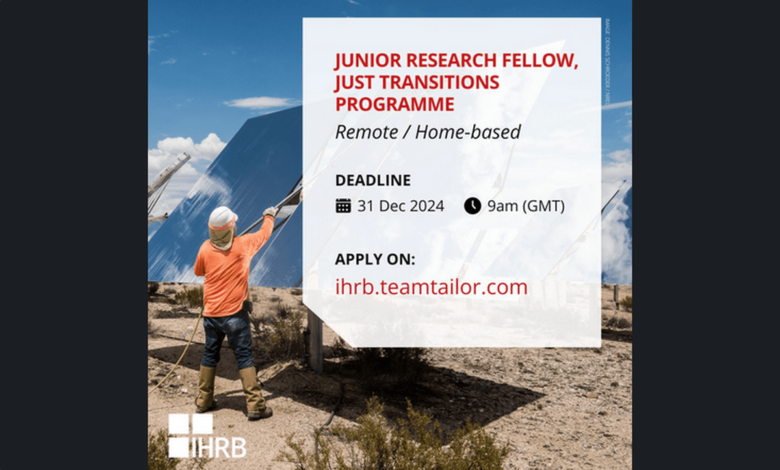 The Institute for Human Rights and Business is looking for a fully remote Junior Research Fellow to join their team (£1,725 per month)