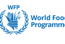 International Consultancy Opportunity: Join UN WFP as an Advocacy Consultant based in Cairo, Egypt