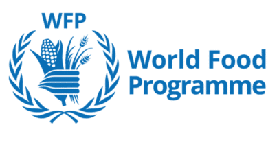 International Consultancy Opportunity: Join UN WFP as an Advocacy Consultant based in Cairo, Egypt