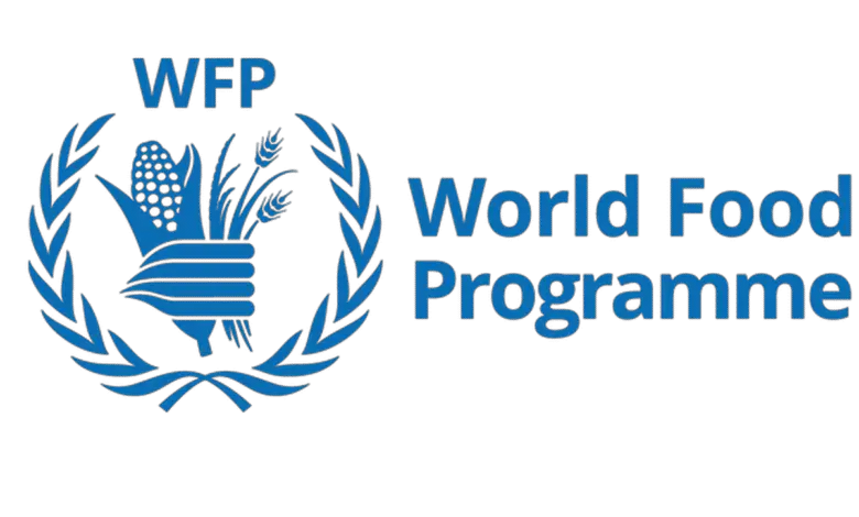 International Consultancy Opportunity: Join UN WFP as an Advocacy Consultant based in Cairo, Egypt