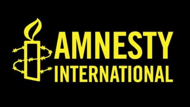 Apply for the Amnesty International Paid Remote Global Civic Space Fellowship