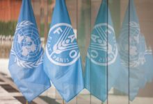 Call for Expression of Interest: Paid 2025 FAO Internship Programme for Latin America and the Caribbean (RLC) 