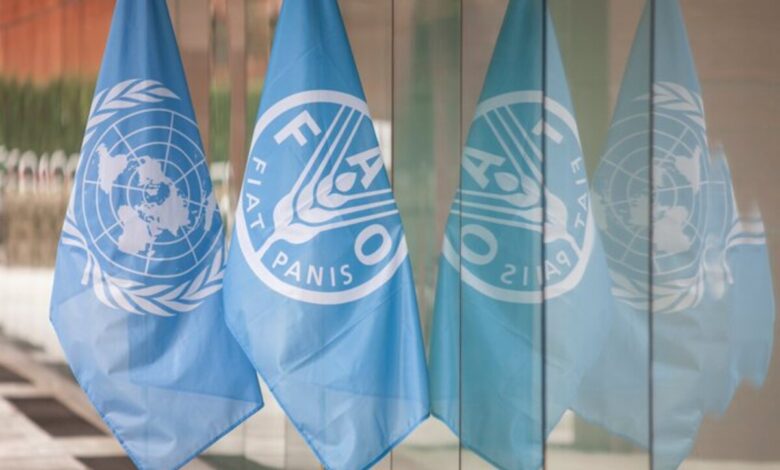 Call for Expression of Interest: Paid 2025 FAO Internship Programme for Latin America and the Caribbean (RLC) 