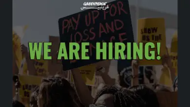 Greenpeace MENA is hiring a Campaigner for the MENA region to be based in Morocco (Remotely)