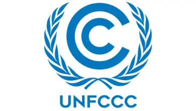 Join the UNFCCC Internship Programme and Explore 3 Exciting open vacancies