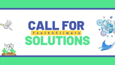 UNDP Youth4Climate Call for Solutions 2025: Global Innovation challenge for climate projects (up to USD 30,000 in seed funding)