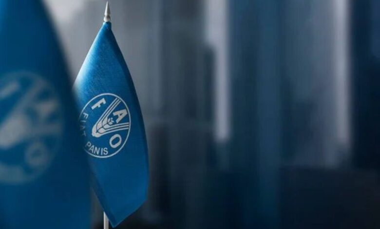 Call for Applications: Paid 2025 FAO Internship Programme for Asia and the Pacific (RAP)