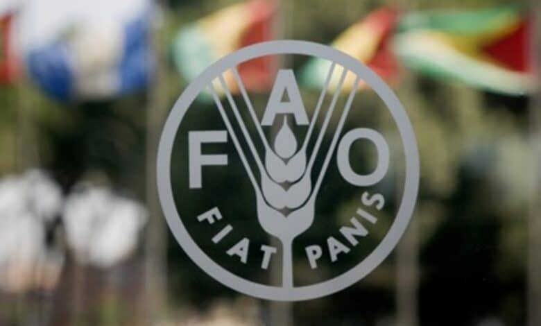 Applications are now open for the Paid 2025 Internship Programme for FAO headquarters!